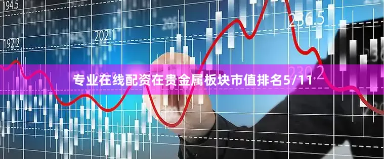专业在线配资在贵金属板块市值排名5/11