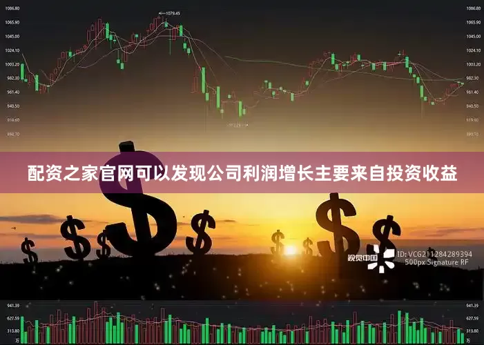 配资之家官网可以发现公司利润增长主要来自投资收益