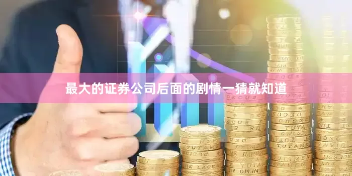 最大的证券公司后面的剧情一猜就知道