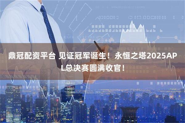 鼎冠配资平台 见证冠军诞生！永恒之塔2025APL总决赛圆满收官！